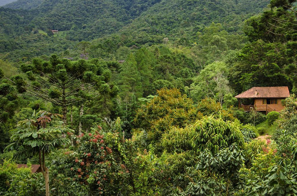 Pousada Das Araucarias Hotel Visconde De Maua Kültér fotó