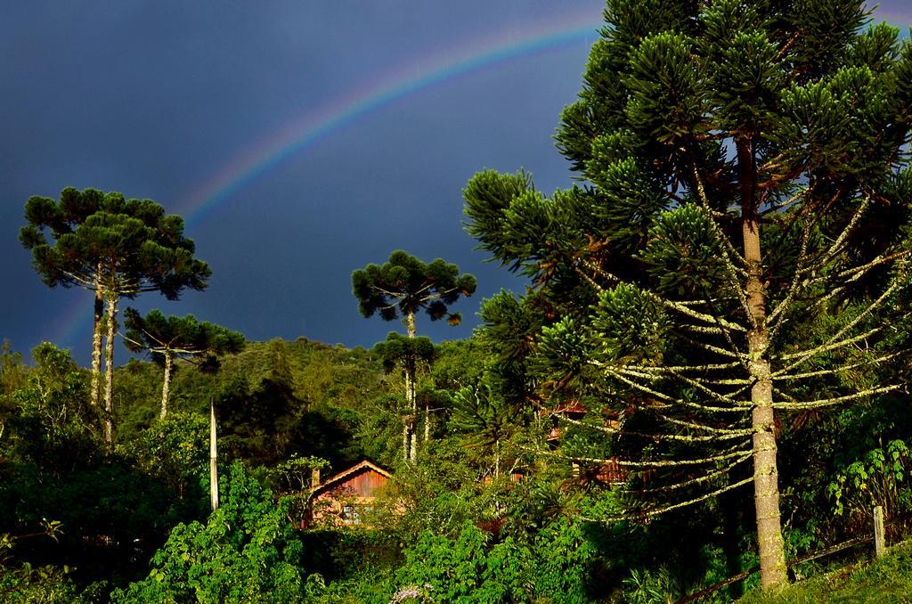 Pousada Das Araucarias Hotel Visconde De Maua Kültér fotó